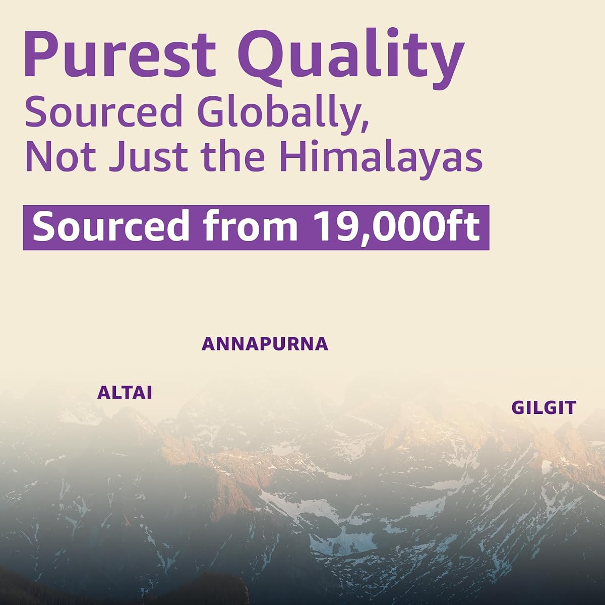 Upakarma Ayurvedic Shilajit & Ashwagandha Resin - 10g - Image 8
