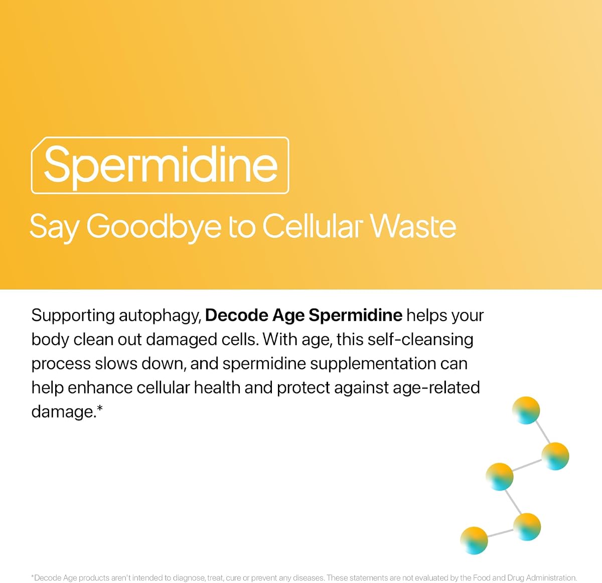Decodeage Spermidine Capsules - 98% Spermidine Trihydrochloride, 60 Veg Capsules - Image 2