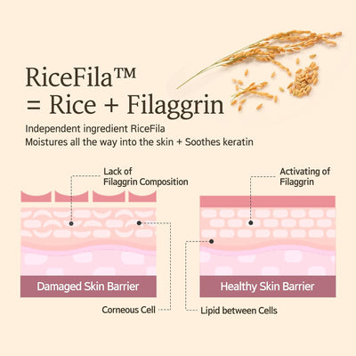 Hayejin RiceFila Oil Toner - Face Serum & Treatment, 150ml - Image 4