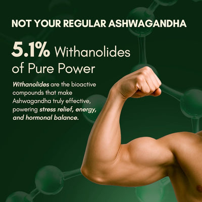 Rasayanam Ashwagandha KSM-66 Capsules - 500mg, 60 Count - Image 3