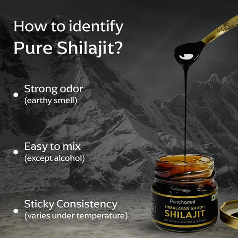 Panchamrit Himalayan Shudh Shilajit Resin 20g