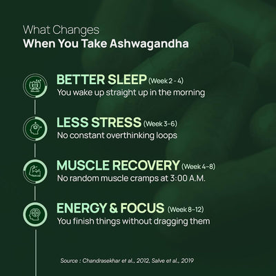 Rasayanam Ashwagandha KSM-66 Capsules - 500mg, 60 Count - Image 7