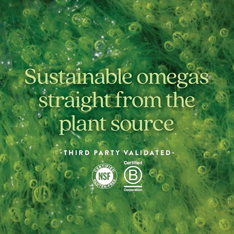 New Chapter VEGAN OMEGA 3 COMPLEX 30 SG