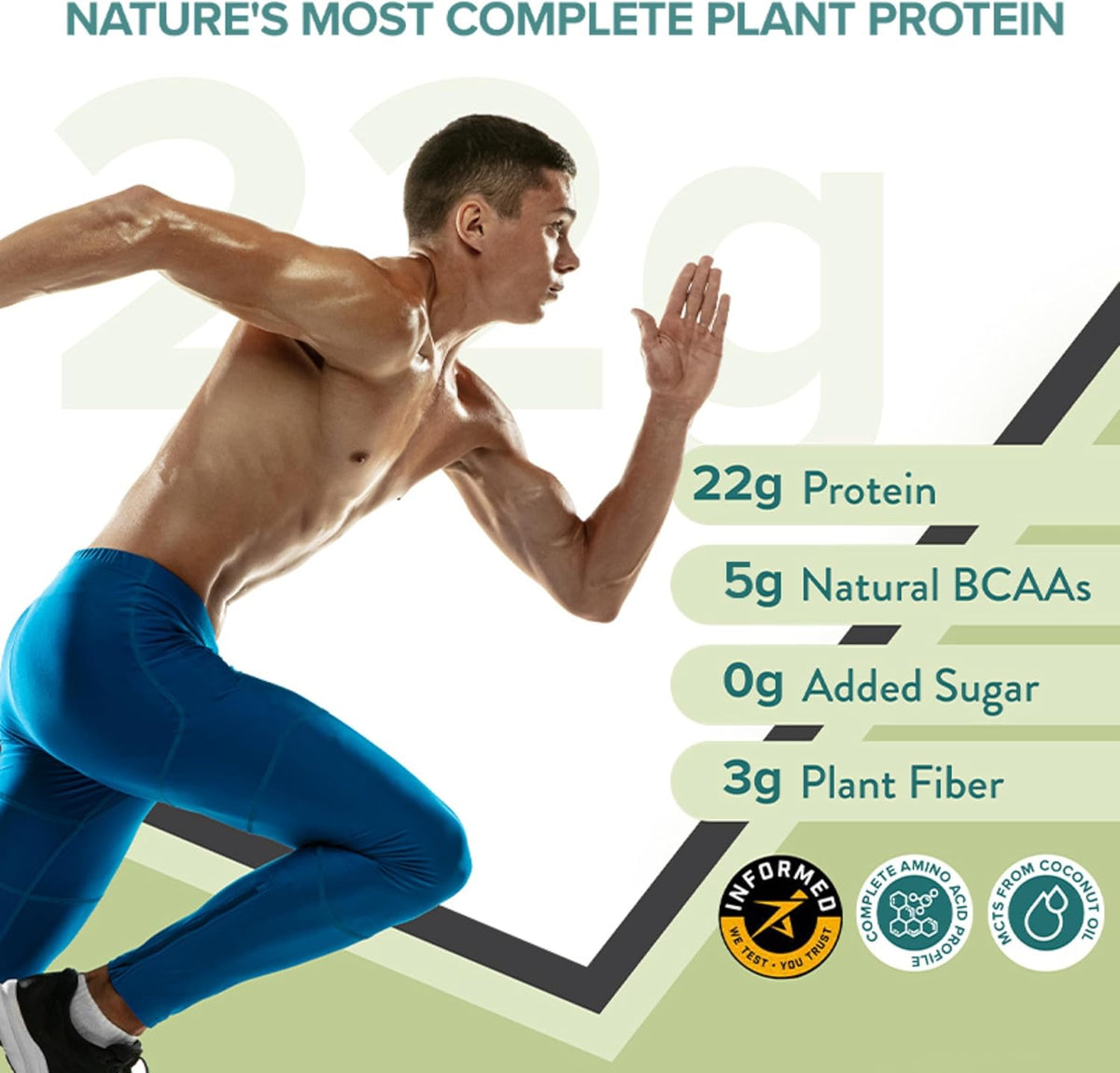 Wellbeing Nutrition Organic Vegan Plant Protein Isolate Powder, French Vanilla - 32g - Image 2