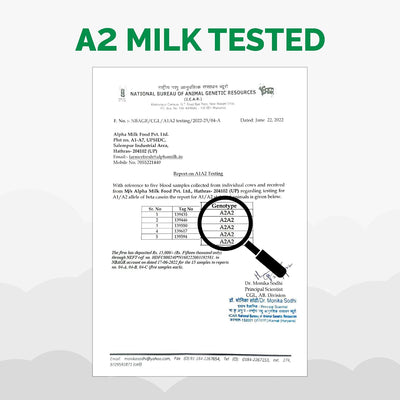 Auric A2 Desi Cow Ghee - Bilona Curd Churned, Lab Tested - 500ml - Image 5