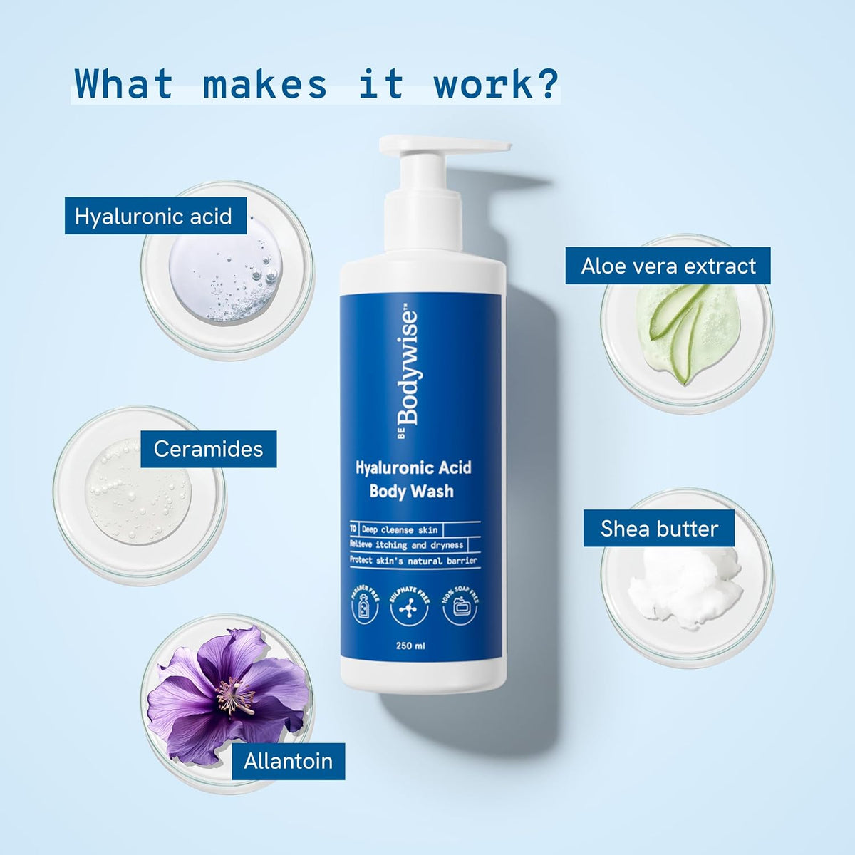 Be Bodywise Hyaluronic Acid Body Wash with Aloe Vera Extract - 250ml - Image 3