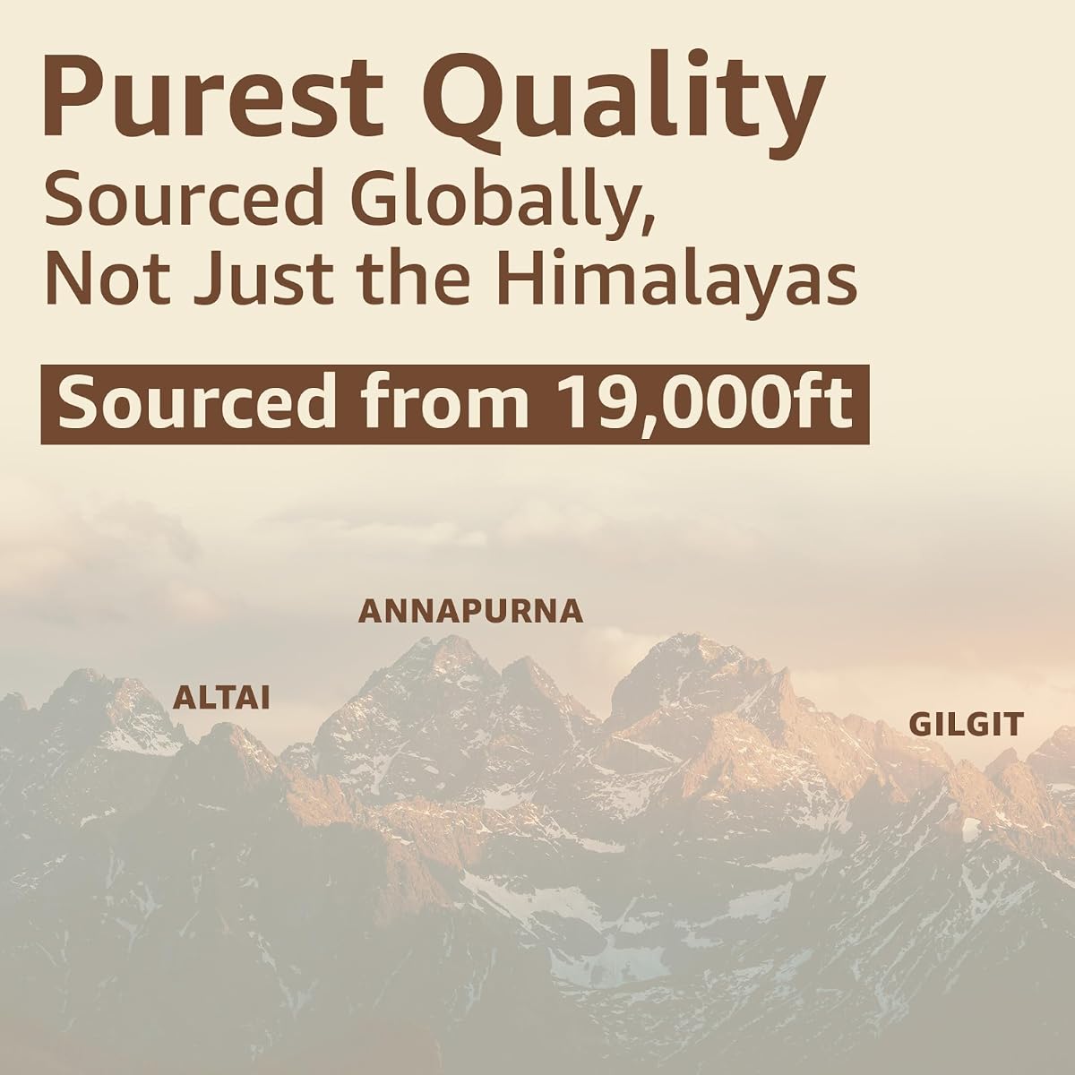 Upakarma Ayurveda Shilajit Resin - Pure Soft, Natural Source of Fulvic Acid, 30g - Image 8