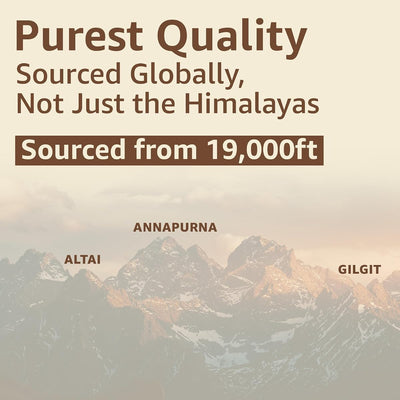 Upakarma Shilajit Resin - Original Ayurvedic Herbal, 10g - Image 8
