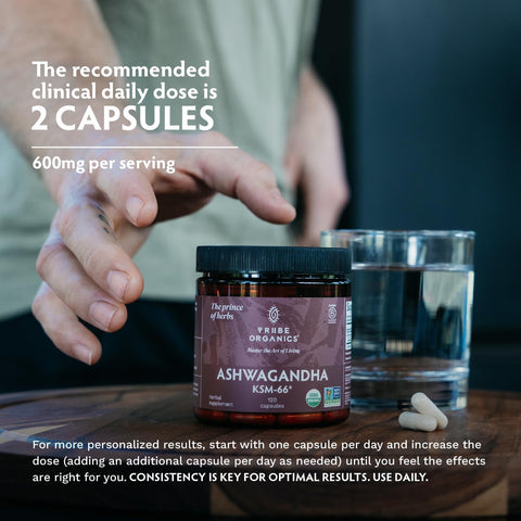 Tribe Organics Ashwagandha KSM 66 Pure Organic Root Powder 90 Capsules