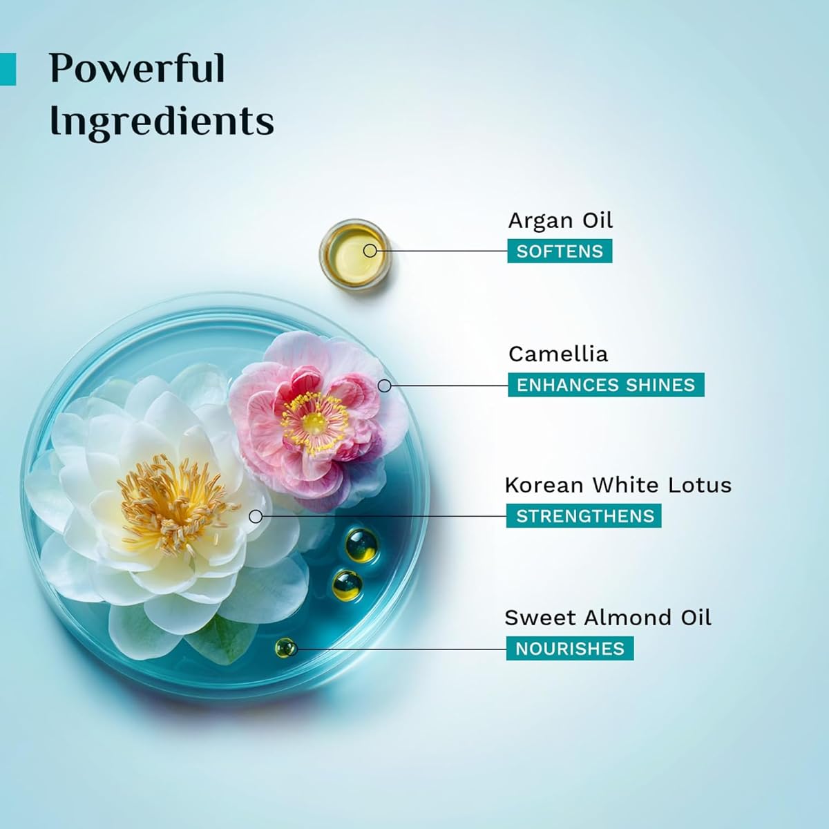 Pilgrim Argan Oil Sulphate-Free Shampoo with Korean White Lotus & Camellia - 200ml - Image 5