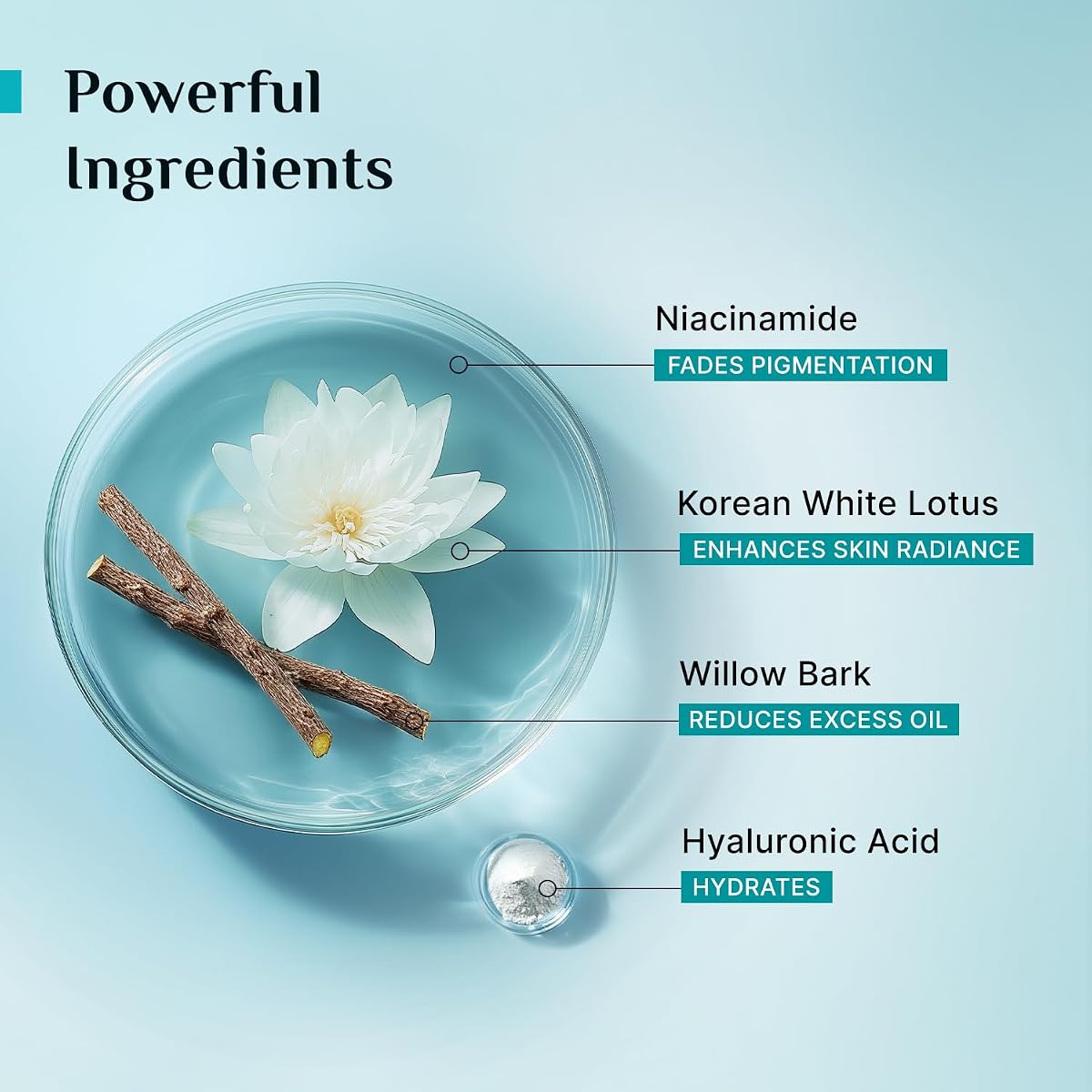 Pilgrim Korean Oil-Free Gel Moisturizer with Hyaluronic Acid - 50g - Image 4