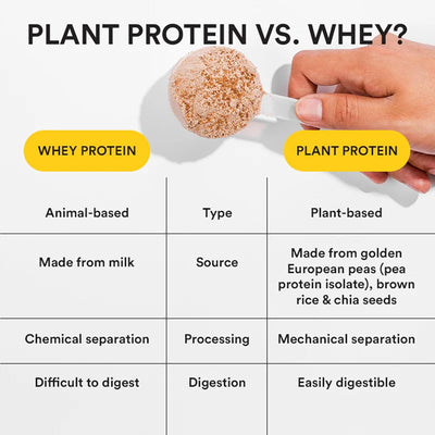 Wellbeing Nutrition Organic Vegan Plant Protein Powder with BCAAs - Chocolate Peanut Butter, 500g - Image 4