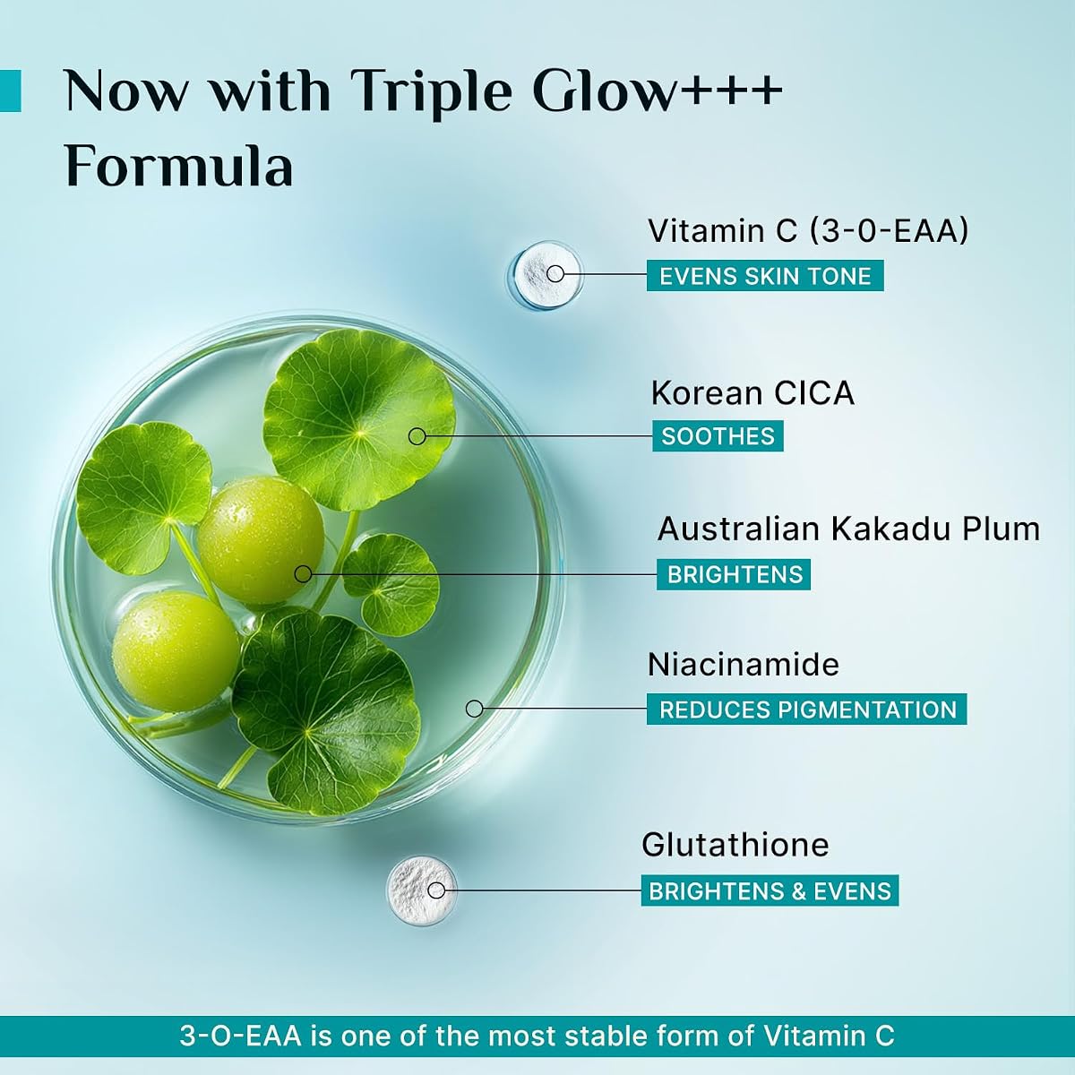 Pilgrim Face Serum with 10% Vitamin C for Glowing Skin - 30 ml - Image 5