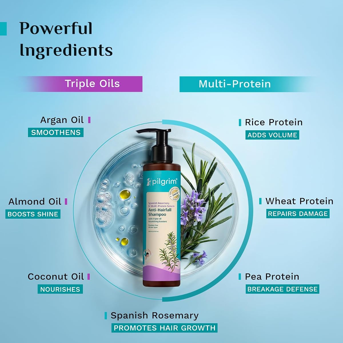 Pilgrim Spanish Rosemary & Biotin Anti-Hairfall Shampoo - 200ml - Image 4