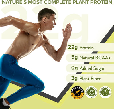 Wellbeing Nutrition Organic Vegan Plant Protein Isolate Powder - British Banoffee Pie, 32g - Image 2