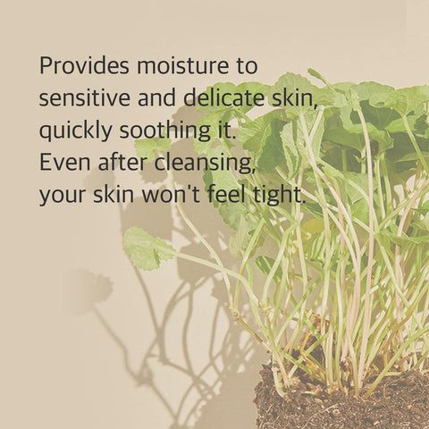 mixsoon Centella Cleansing Foam - Low pH Cleansing and Balanced Face, Removes Impurities & Makeup Without Drying, Hydrating Formula 150ml Korean Glass Skin Care - Image 4