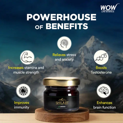 Wow Life Science Pure Himalayan Shilajit Resin | Powered By Ashwagandha 20 G