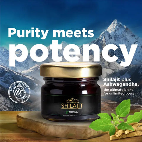 Wow Life Science Pure Himalayan Shilajit Resin | Powered By Ashwagandha 20 G