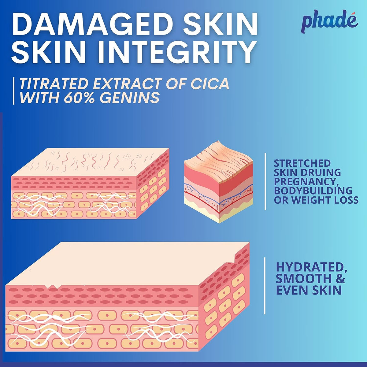 Phade Stretch Mark Cream with Nourishing Formula, 200ml - Image 7
