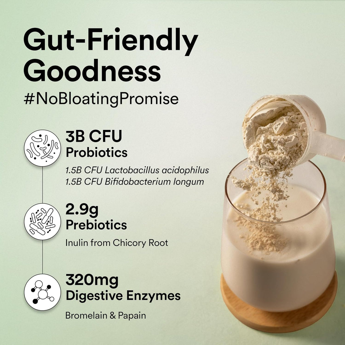 Wellbeing Nutrition Superfood Plant Protein - French Vanilla Caramel, 907g, 28 Servings - Image 4