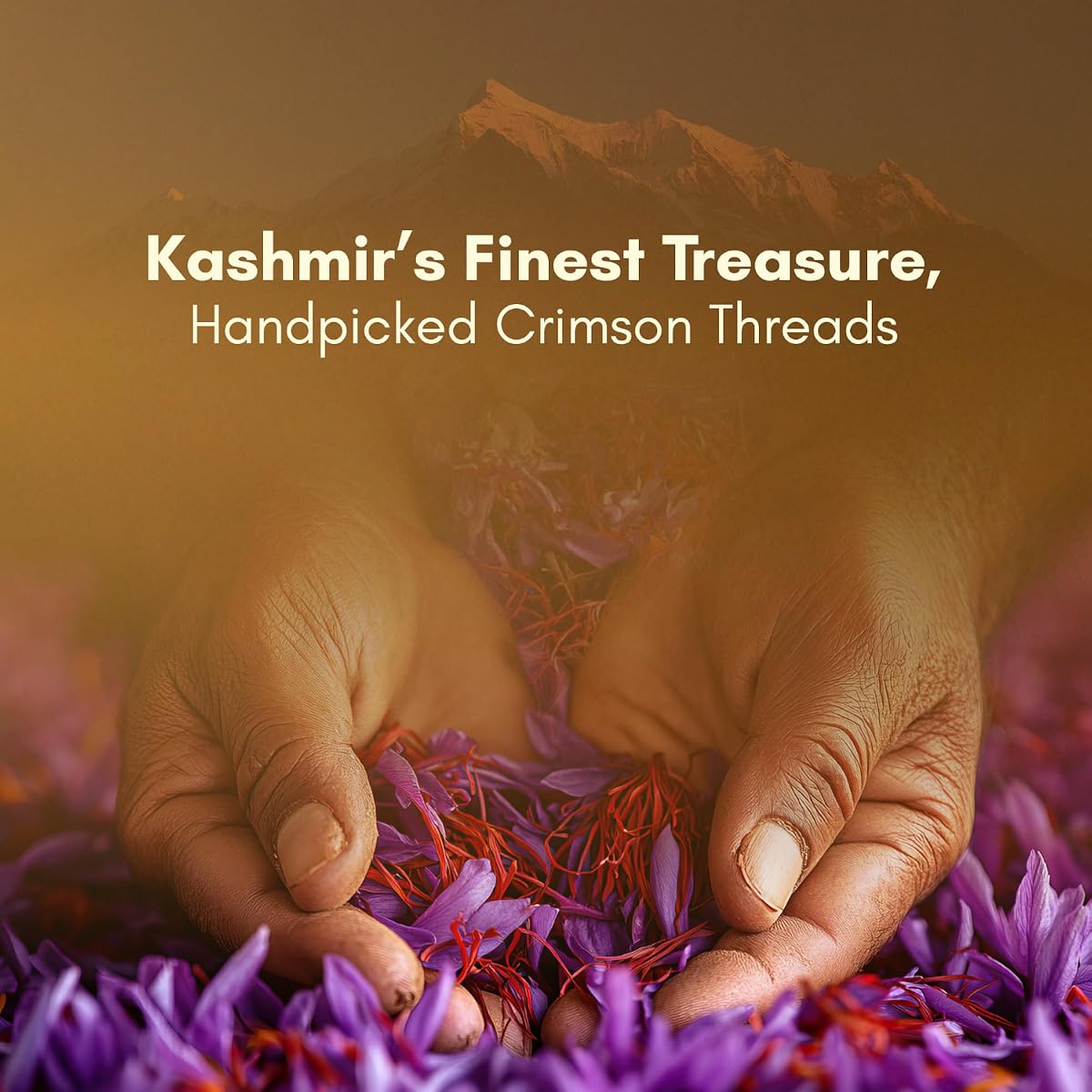 Rasayanam Kashmiri Mongra Saffron - Grade 1, Handpicked from Pampore - 1 Gram - Image 3