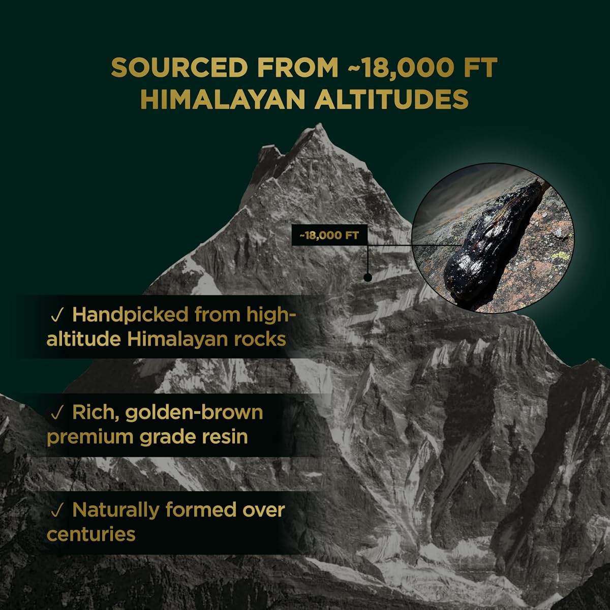 Truhabit Himalayan Shilajit Resin - Pure Ayurvedic Stamina Booster, 20g - Image 4