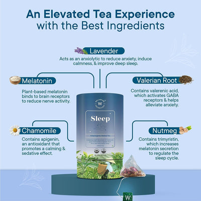 Wellbeing Nutrition Sleep Tea - Herbal & Ayurvedic, 20 Pyramid Tea Bags - Image 5
