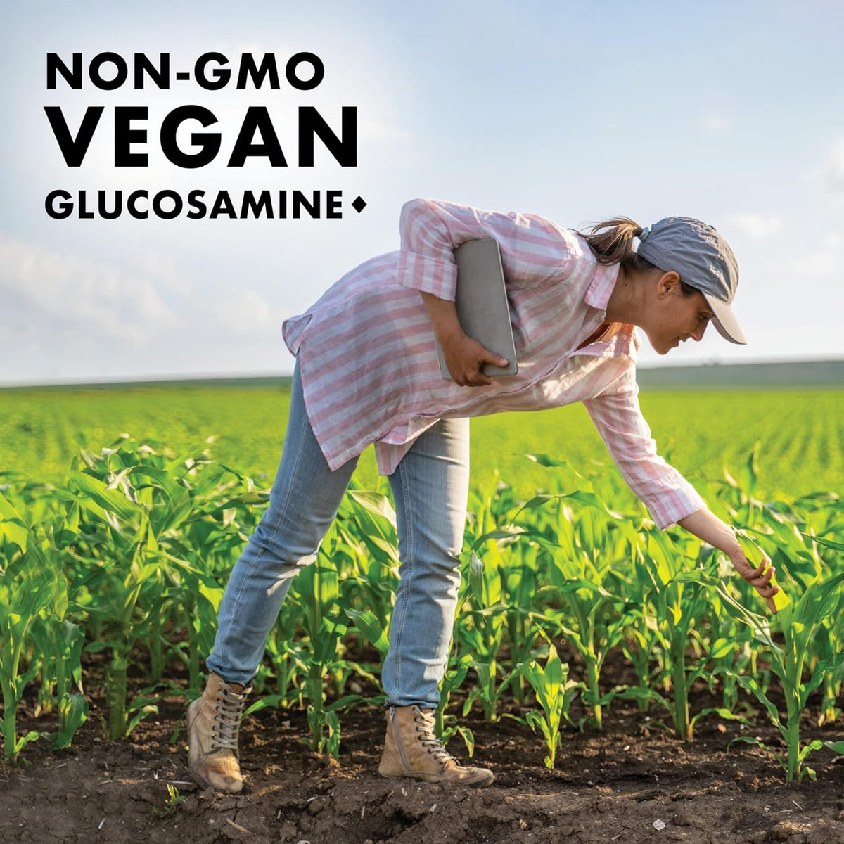 BlueBonnet Vegetarian Glucosamine MSM Capsules - 60 Count - Image 5