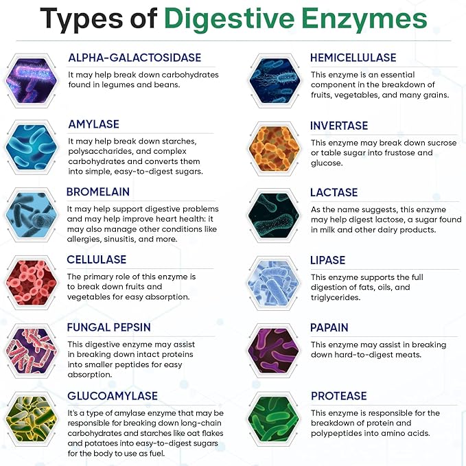 Wholesome Digestive Enzymes 1000MG with Probiotics & Prebiotics, 180 Capsules - Image 5