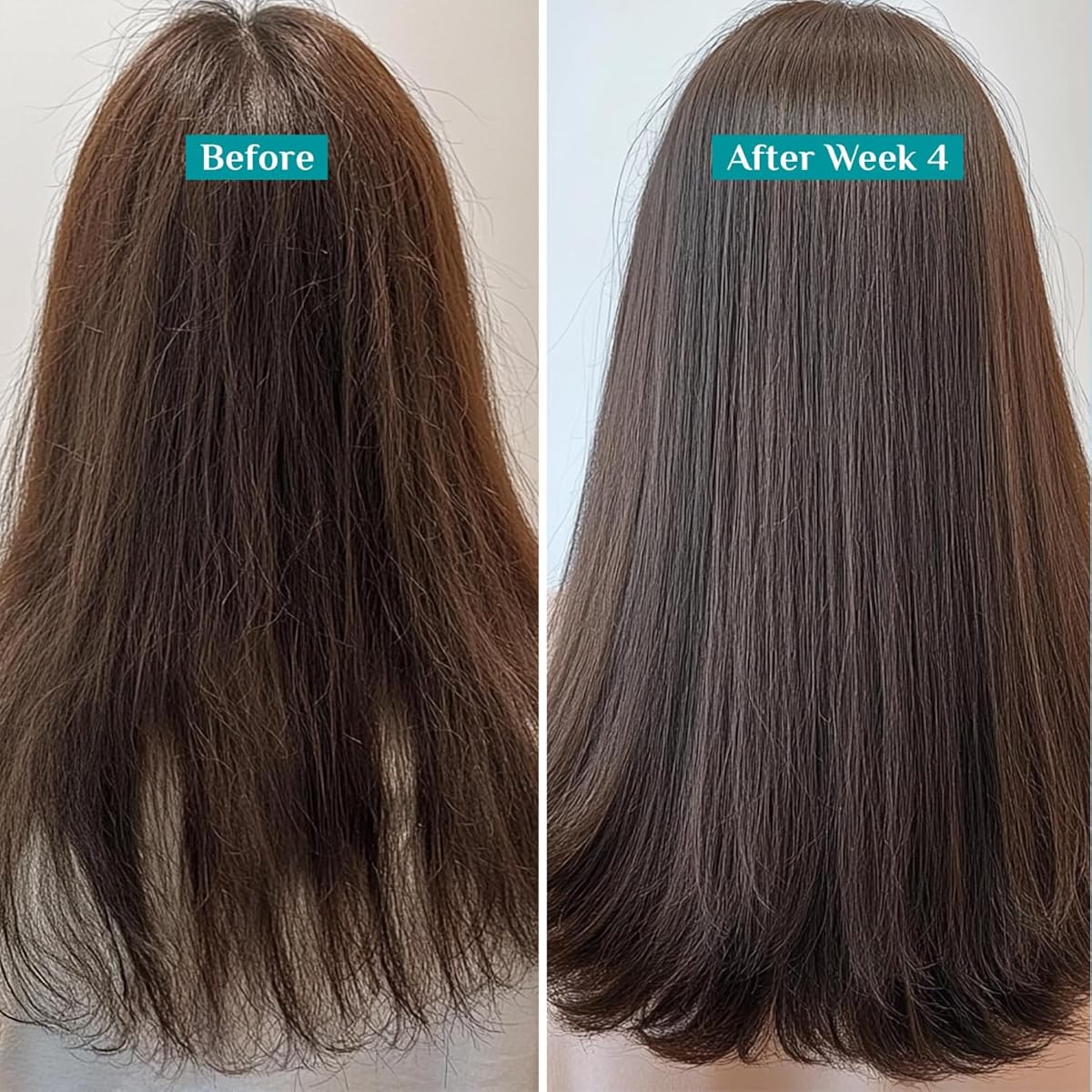 Pilgrim Spanish Rosemary & Biotin Anti-Hairfall Conditioner, 200ml - Image 4