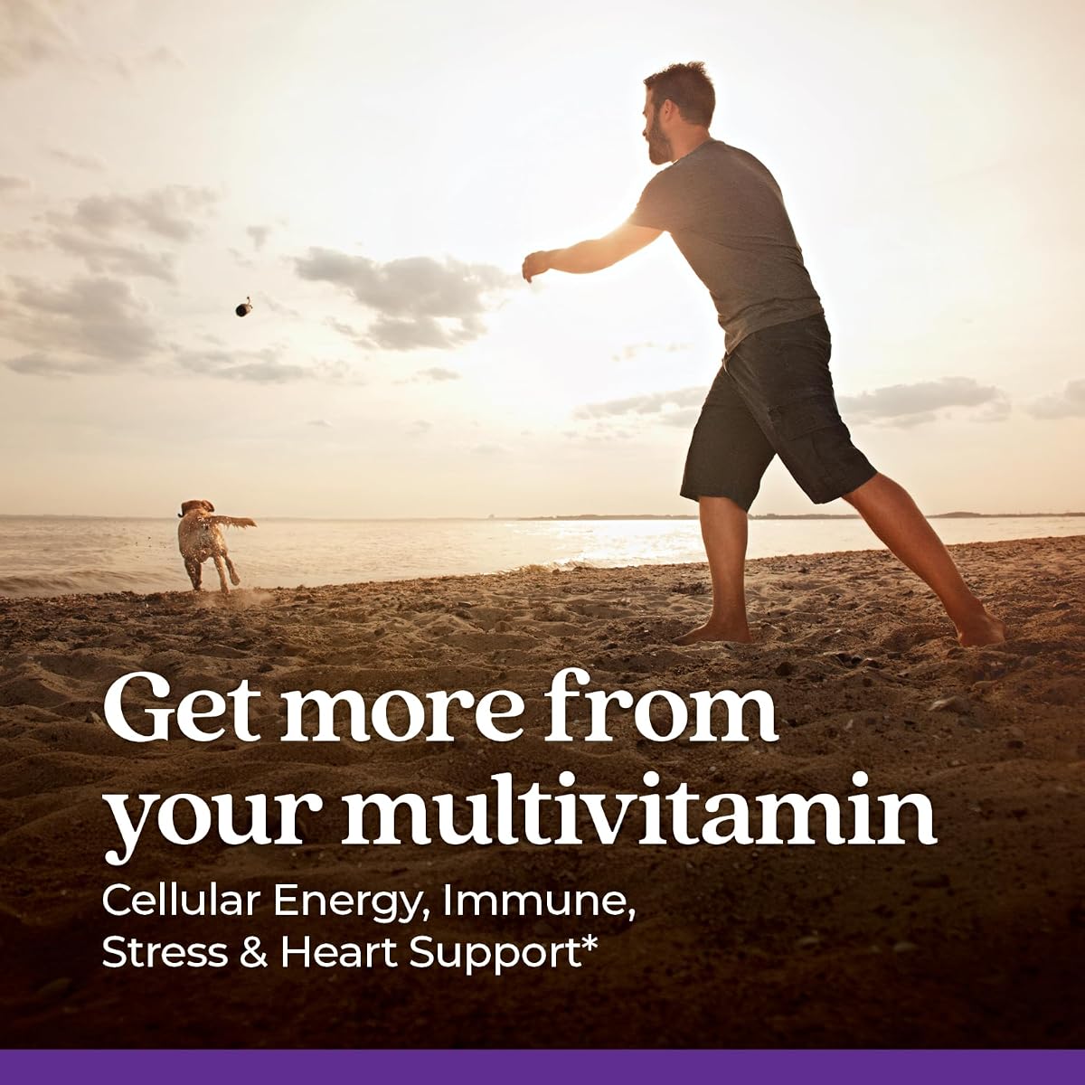 New Chapter Every Man's One Daily Multivitamin - 72 Vegetarian Tablets - Image 8
