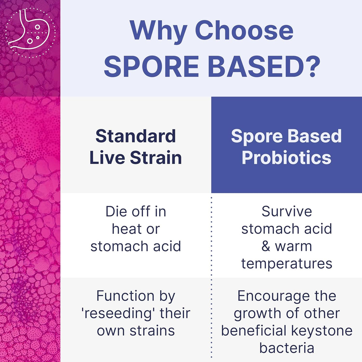 Microbiome MegaSporeBiotic Spore Probiotic, Gut Health Capsules - 60 Count - Image 4