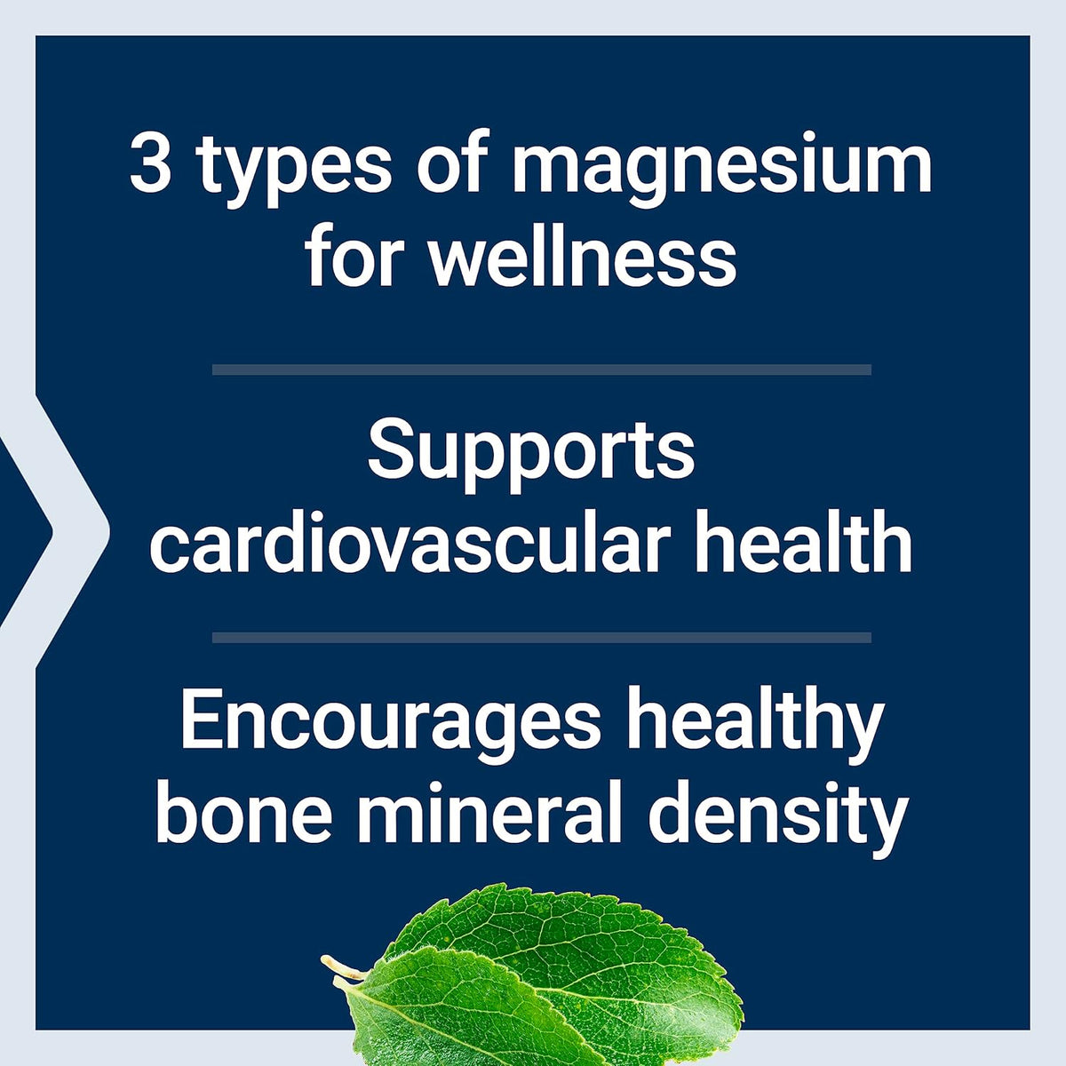 Life Extension Magnesium Caps - 500 mg, 100 Vegetarian Capsules - Image 5