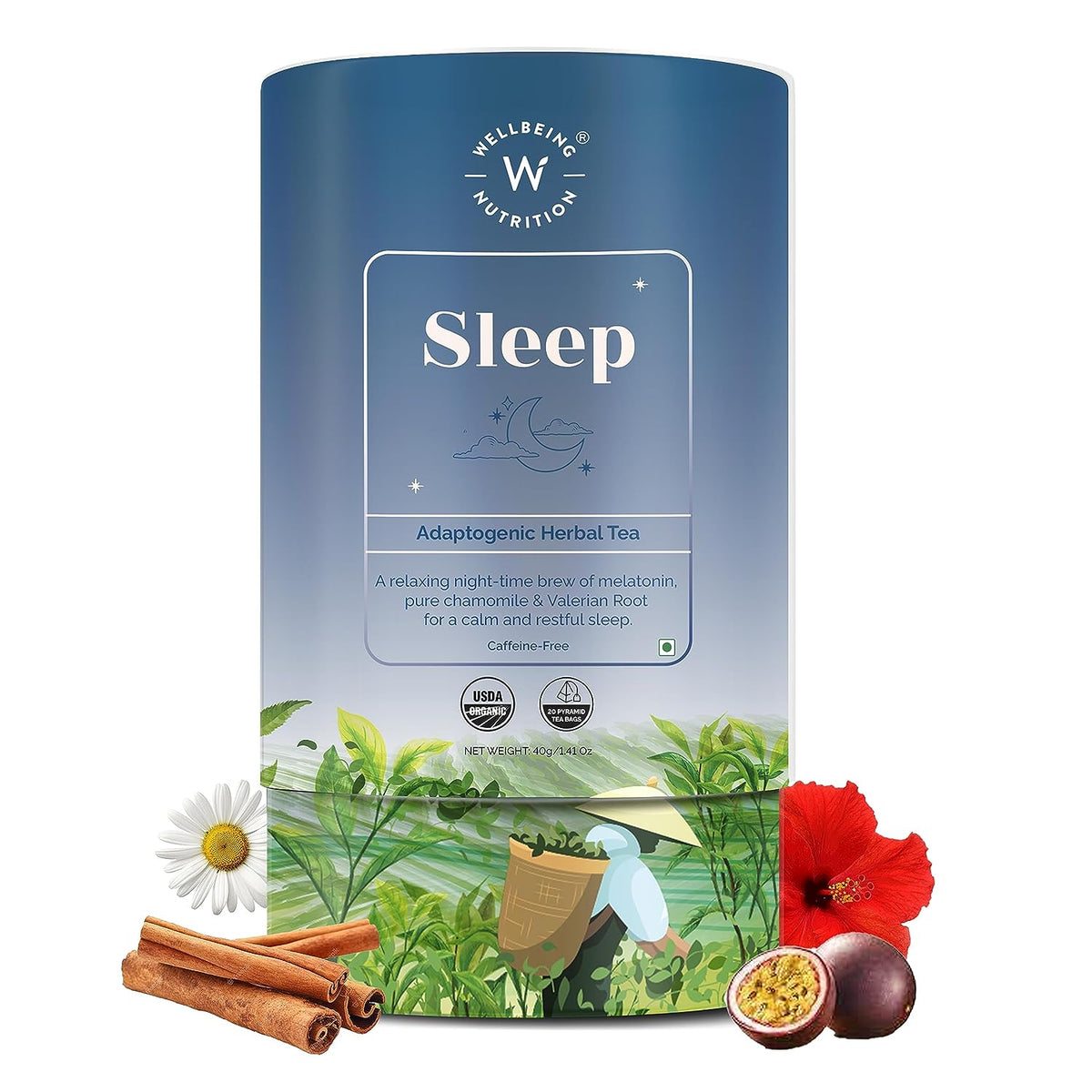 Wellbeing Nutrition Sleep Tea - Herbal & Ayurvedic, 20 Pyramid Tea Bags