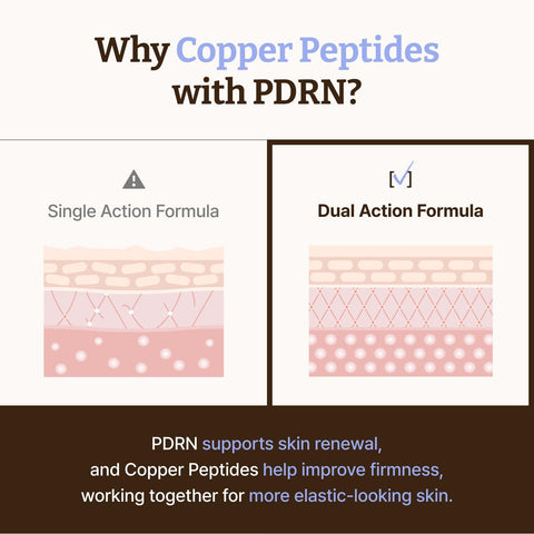 Dr.Reju-All Advanced PDRN Copper Peptide Serum – GHK-Cu with PDRN Serum for Face – Copper Peptides for Firming & Skin Elasticity – with Hyaluronic Acid & Hydrolyzed Collagen Peptides – 30ml - Image 4
