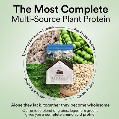Wellbeing Nutrition Superfood Plant Protein Belgian Dark Chocolate - Sports Nutrition - Image 5