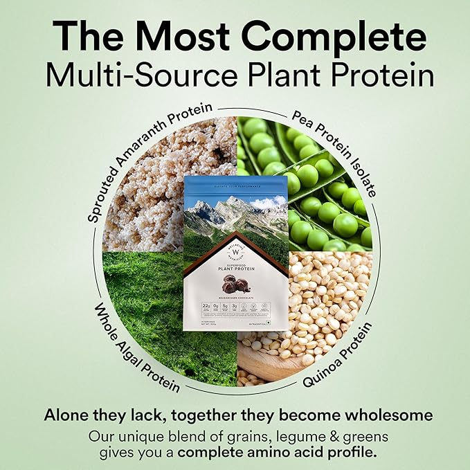 Wellbeing Nutrition Superfood Plant Protein Belgian Dark Chocolate - Sports Nutrition - Image 5