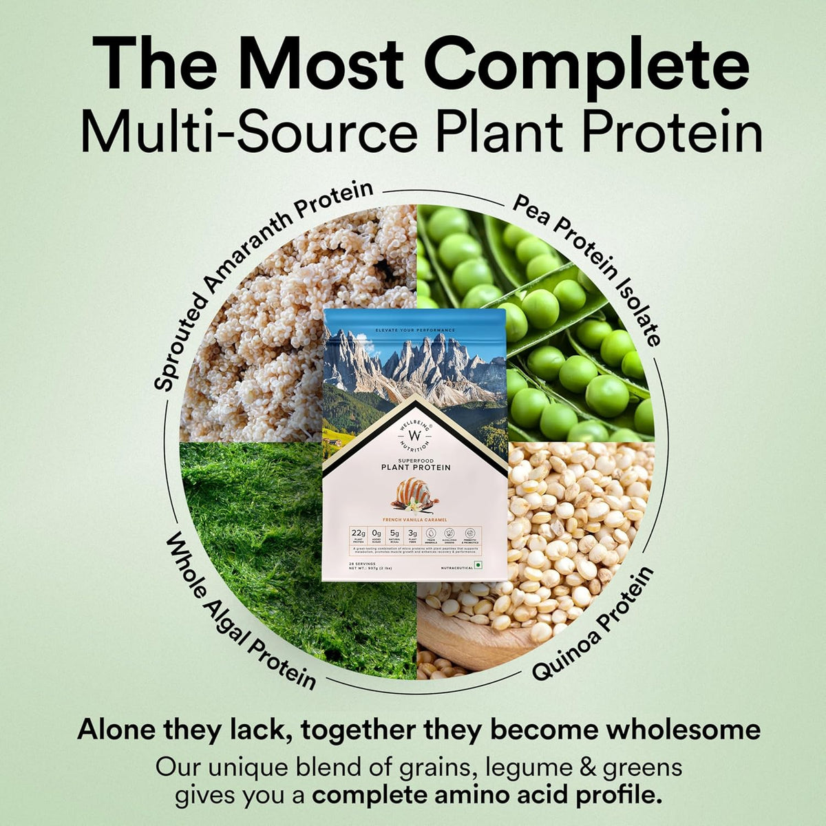 Wellbeing Nutrition Superfood Plant Protein - French Vanilla Caramel, 907g, 28 Servings - Image 3