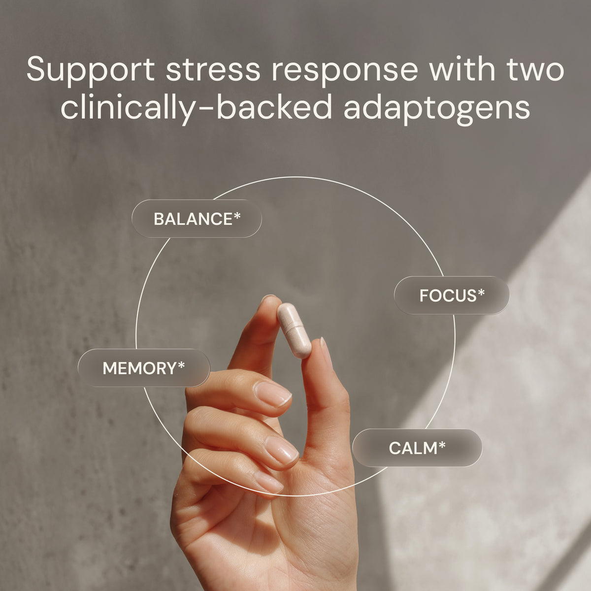 Blueprint Ashwagandha + Rhodiola Capsules - Adaptogenic Stress Support - 30 Servings
