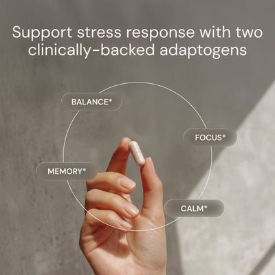 Blueprint Ashwagandha + Rhodiola Capsules - Adaptogenic Stress Support - 30 Servings