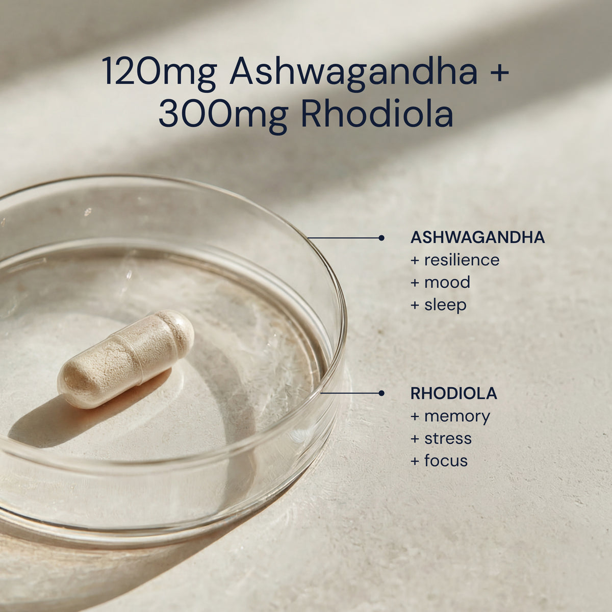 Blueprint Ashwagandha + Rhodiola Capsules - Adaptogenic Stress Support - 30 Servings