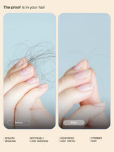 Arata Anti-dandruff Conditioner - 200 ML