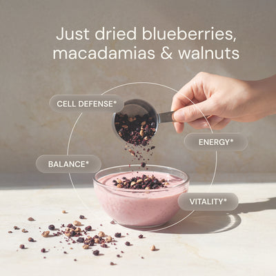Blueprint Blueberry Nut Mix - Heart & Antioxidant Support, 30 Servings