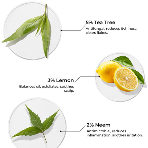 Brillaire Tea Tree Oil 100 Ml