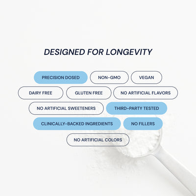 Blueprint Creatine Powder - Pure & Potent for Muscle Growth - 100 Servings