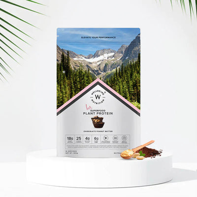 Wellbeing Nutrition Organic Vegan Plant Protein Powder Superfoods Fiber For Muscle Growth & Recovery 500Gm Peanut Butter