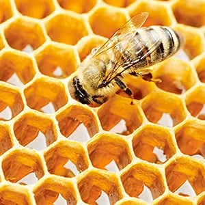 قناع د. سيوراكل فيتا بروبوليس المضاد للأكسدة 30 مل