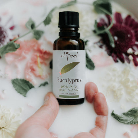 Difeel Eucalyptus 100% Pure Essential Oil, 1Oz