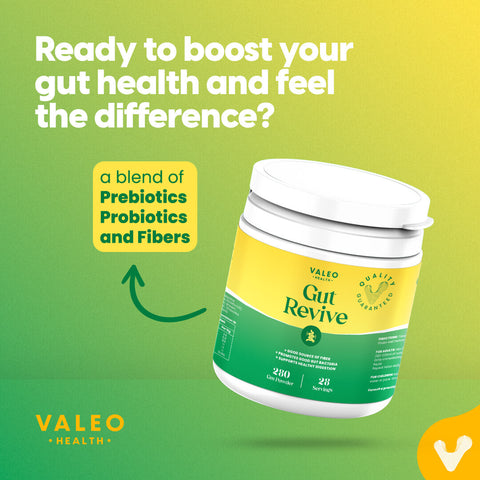 Valeo Gut Revive | Gut Cleanse for Women & Men | Prebiotics, Probiotics & Fiber for Digestive Health - 280g Powder