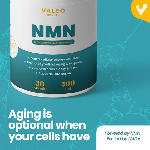 Valeo NMN 500mg Capsule 30 (Caps per bottle)